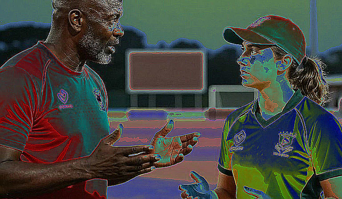 Cricket Analysis Requires Basic Information: Empty Captured Data Makes Full Analysis Impossible